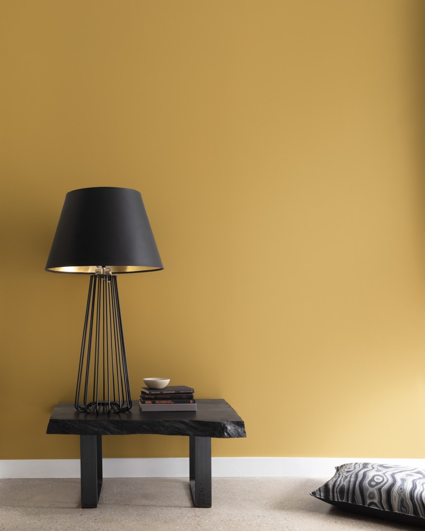 Painted wall in Acorn Squash 258