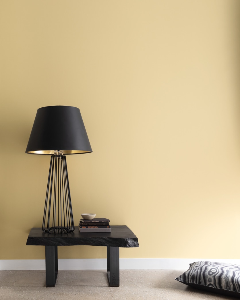 Painted wall in Adams Gold HC-18