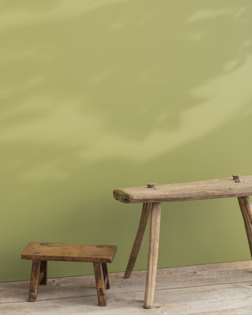Painted wall in Agave AF-420