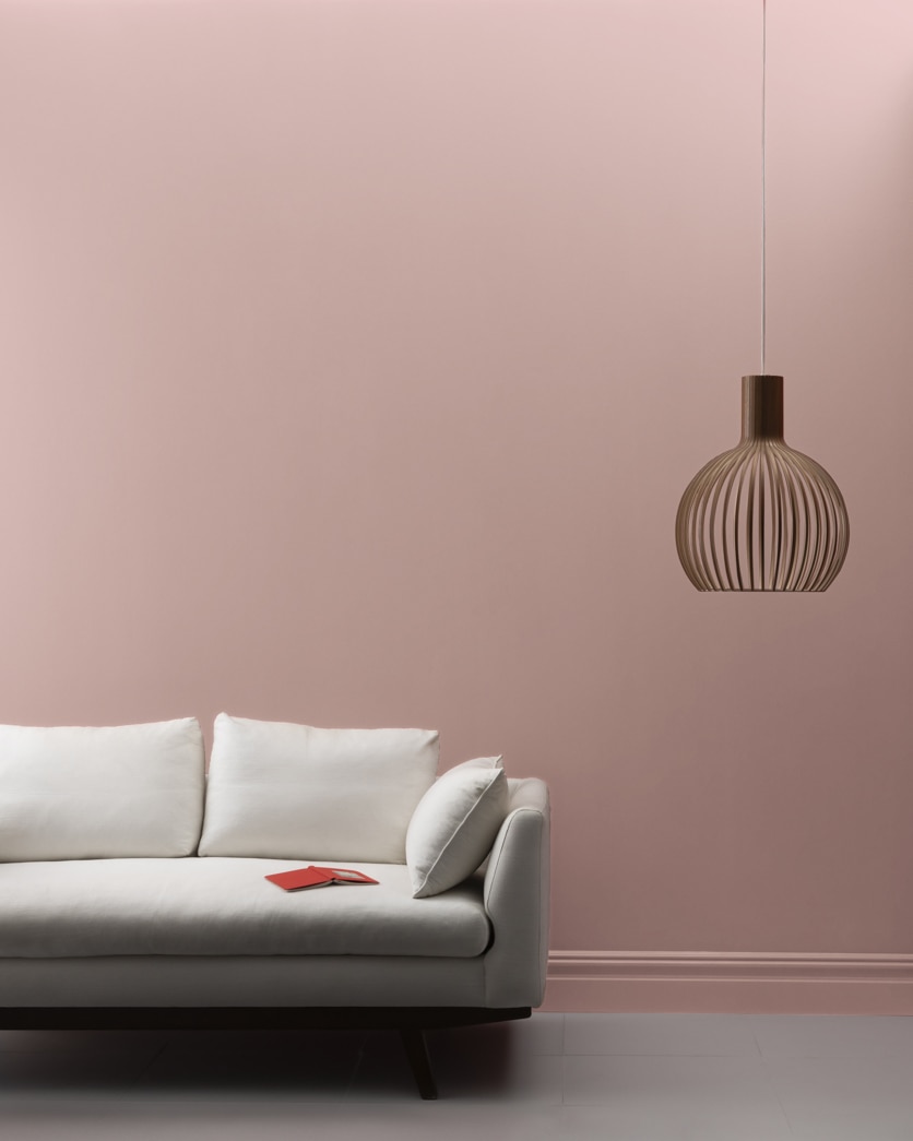 Painted wall in Allspice 2101-50