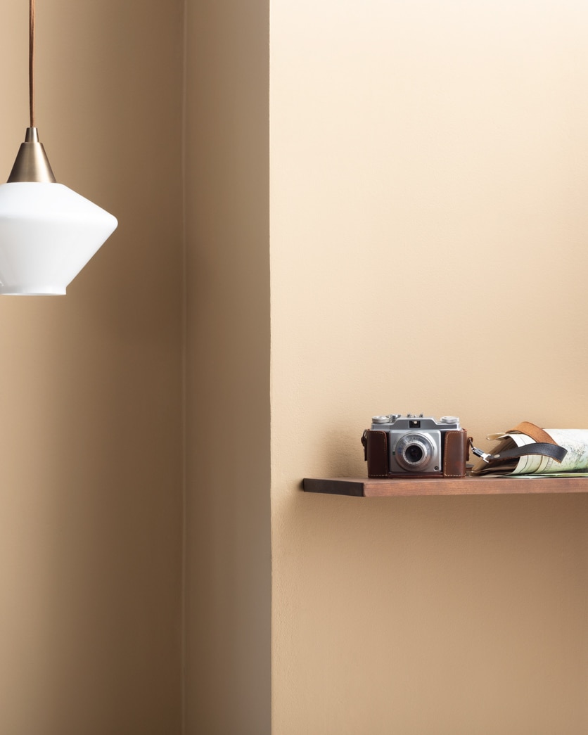 Painted wall in Alpaca 1074