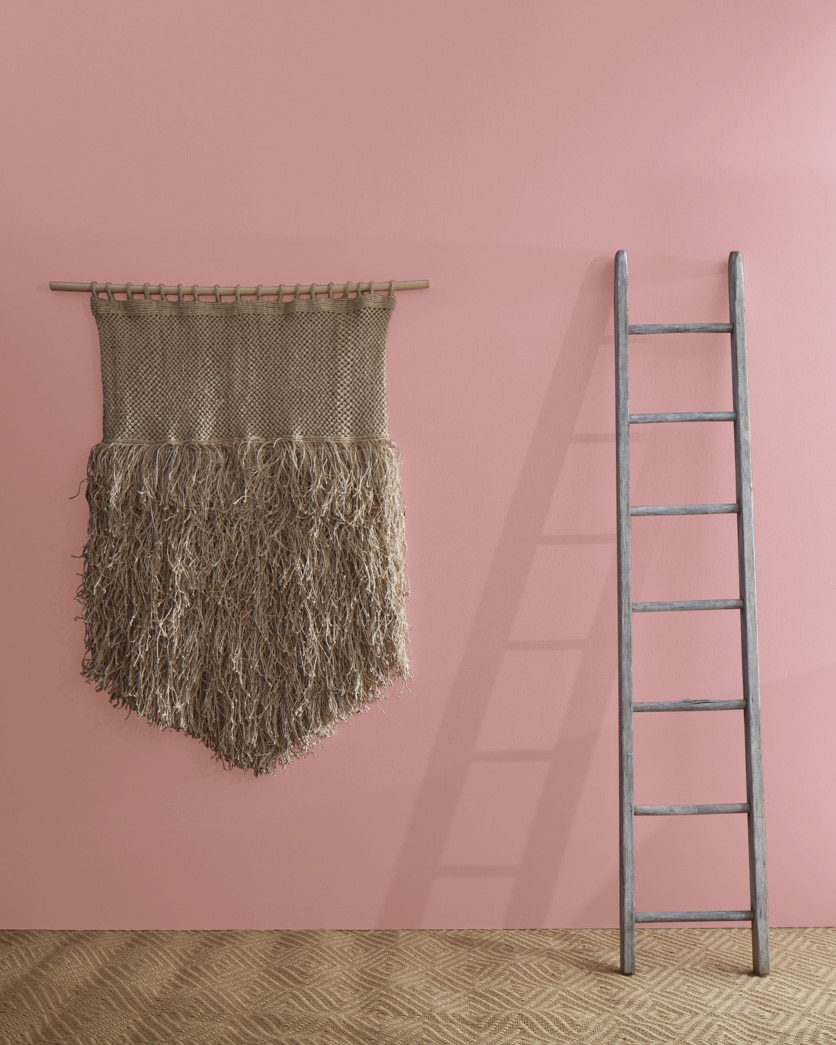 Painted wall in Amaryllis 1256