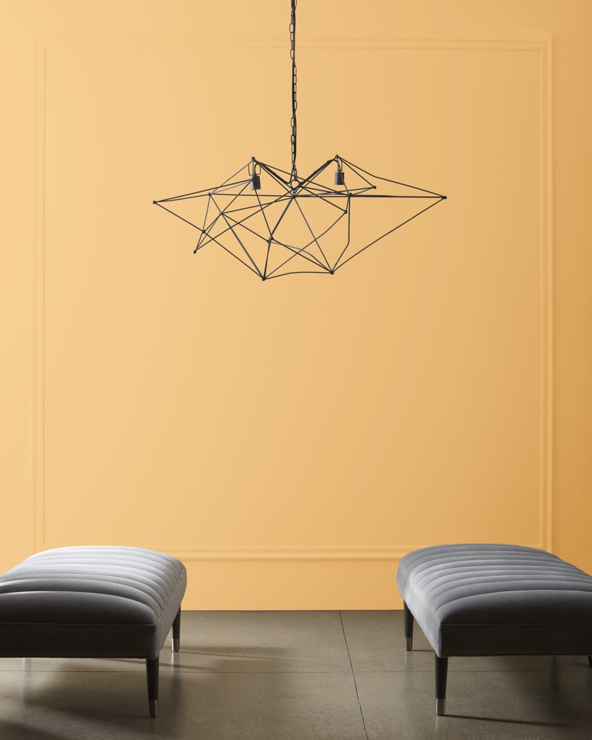 Painted wall in Amber Waves 2159-40