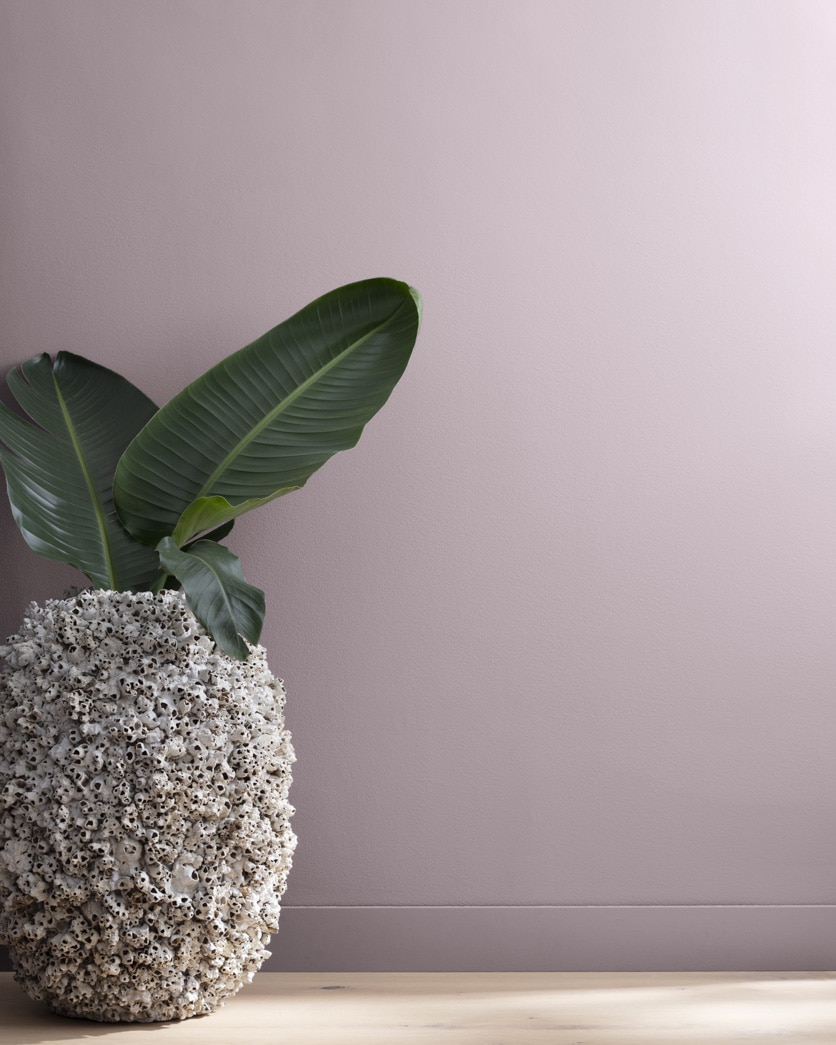 Painted wall in Amethyst Sky 1447