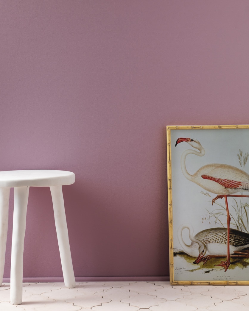 Painted wall in Aplomb AF-625