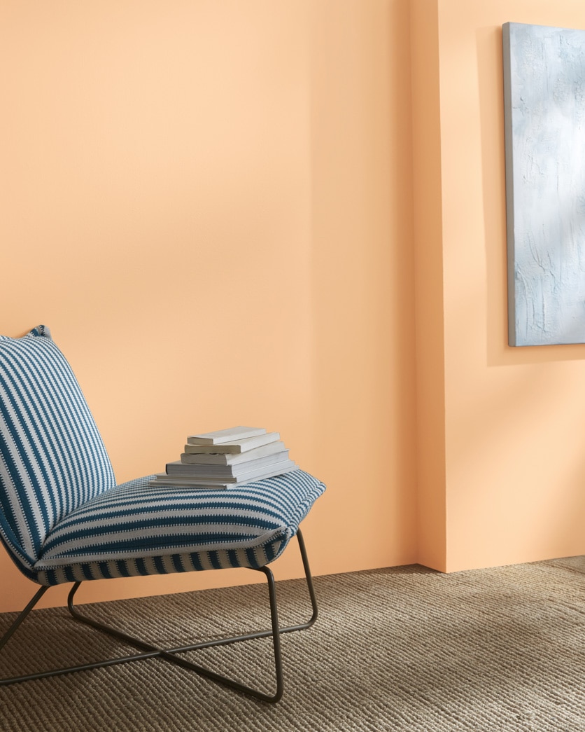 Painted wall in Apricot Chiffon 136