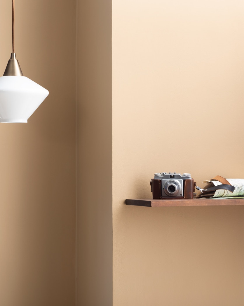 Painted wall in Arizona Tan 2162-50
