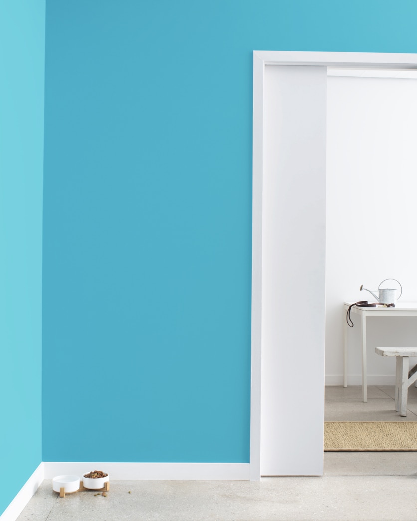 Painted wall in Atlantis Blue 768