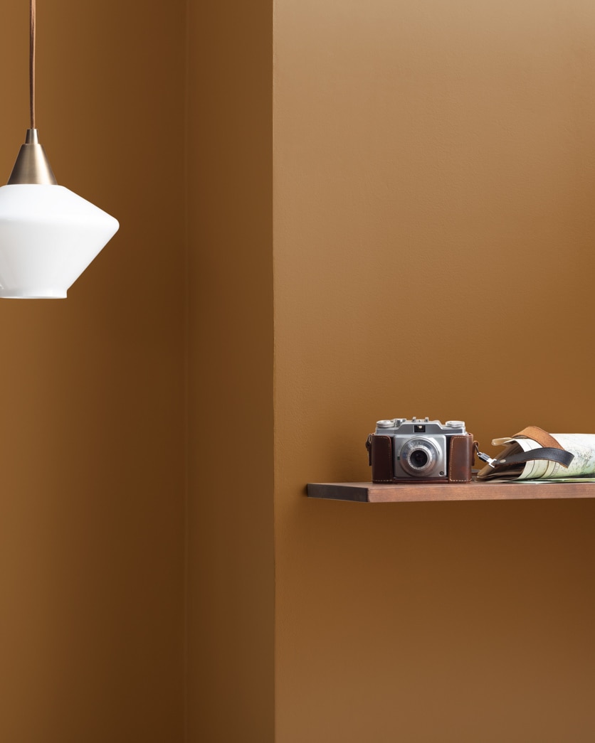 Painted wall in Autumn Bronze 2162-10