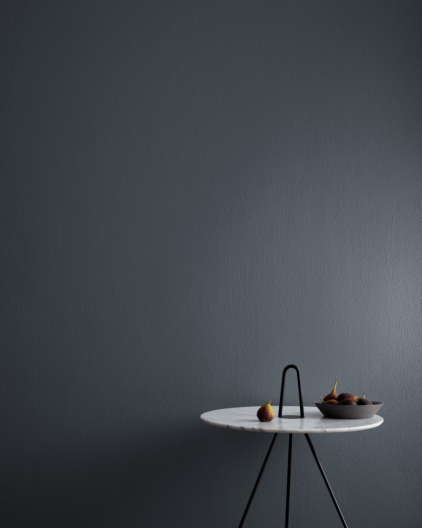 Painted wall in Baby Seal Black 2119-30
