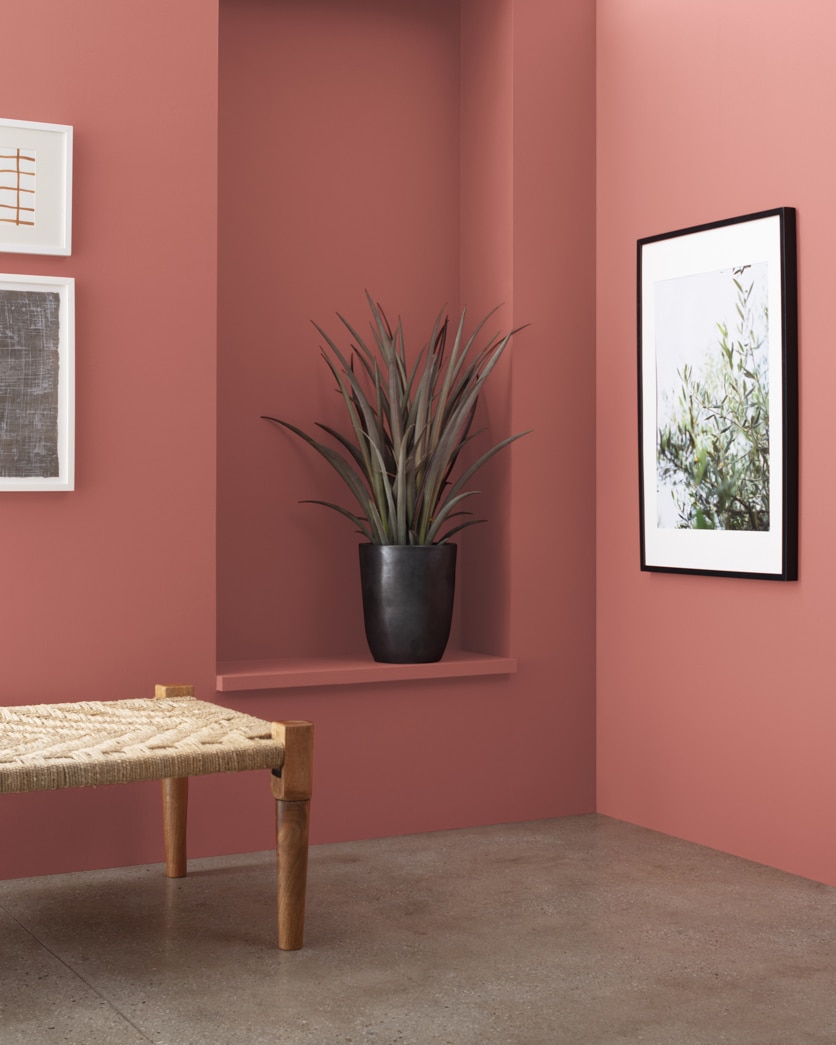 Painted wall in Badlands 1293