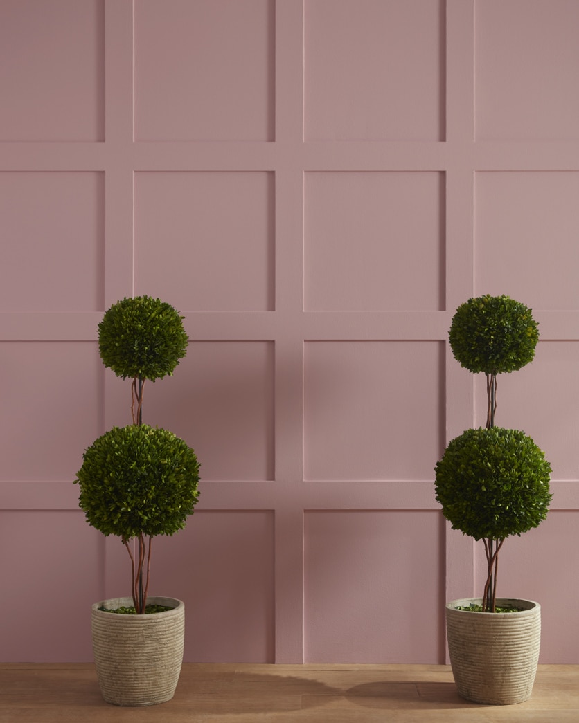 Painted wall in Barberry 1244