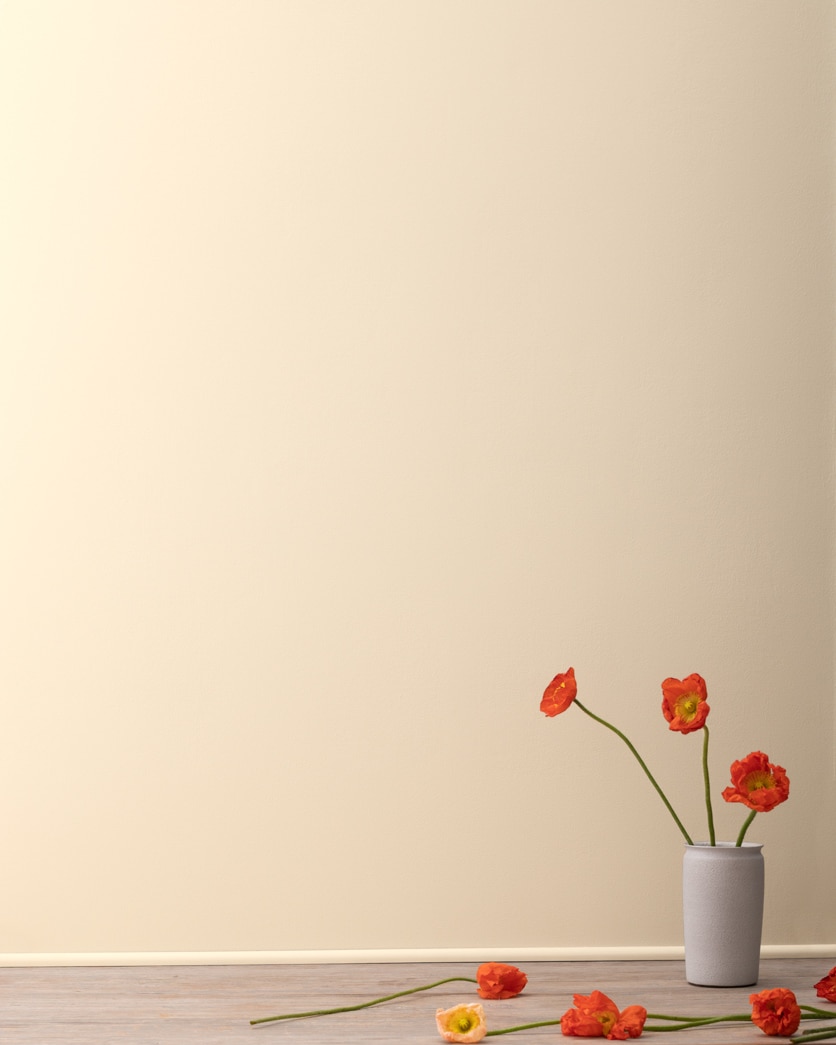 Painted wall in Barely Beige CC-140