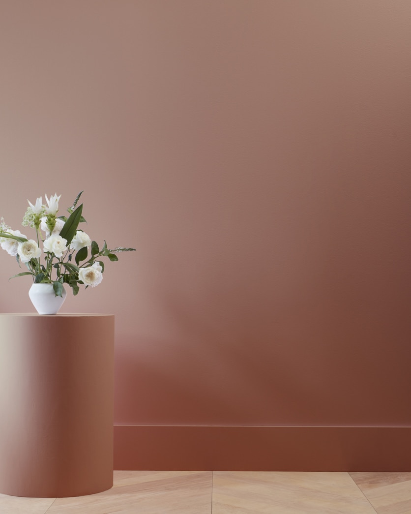 Painted wall in Beaver Brown 2104-20