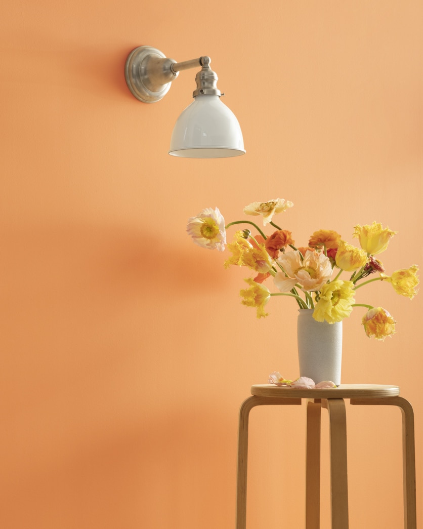 Painted wall in Beeswax 2157-40