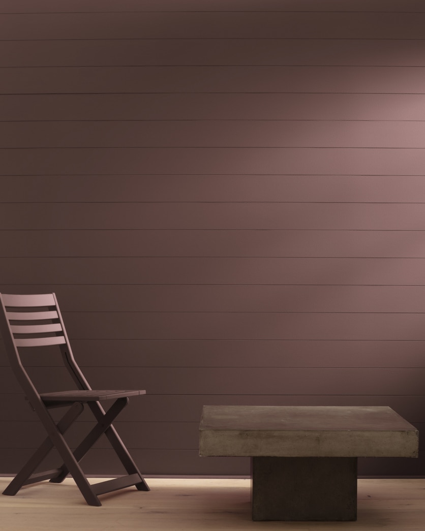 Painted wall in Bison Brown 2113-30
