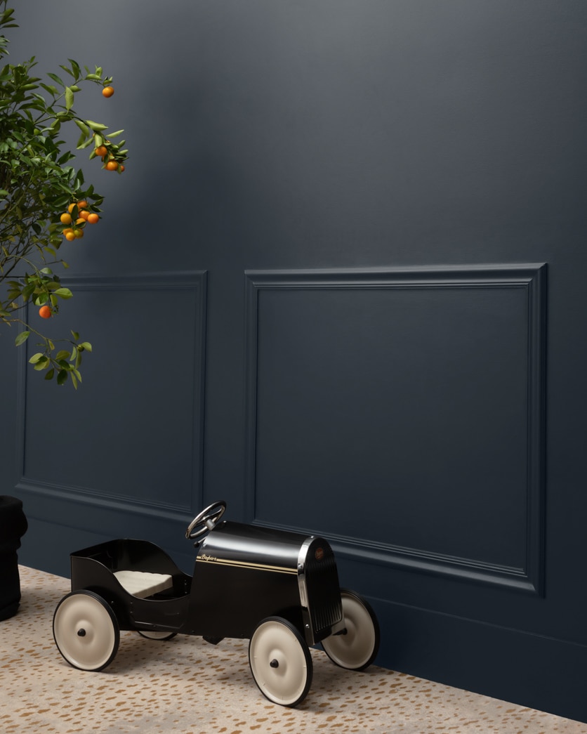 Painted wall in Black Horizon 2132-30