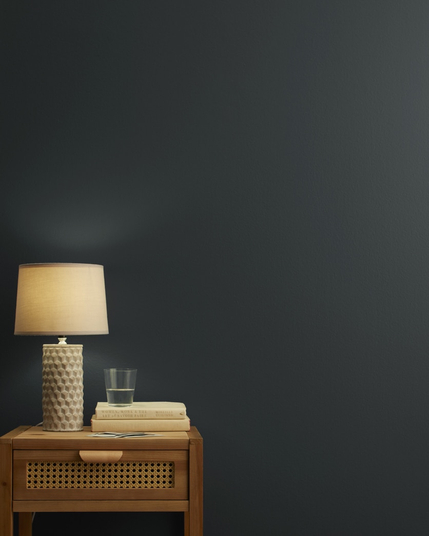 Painted wall in Black Knight 2136-10
