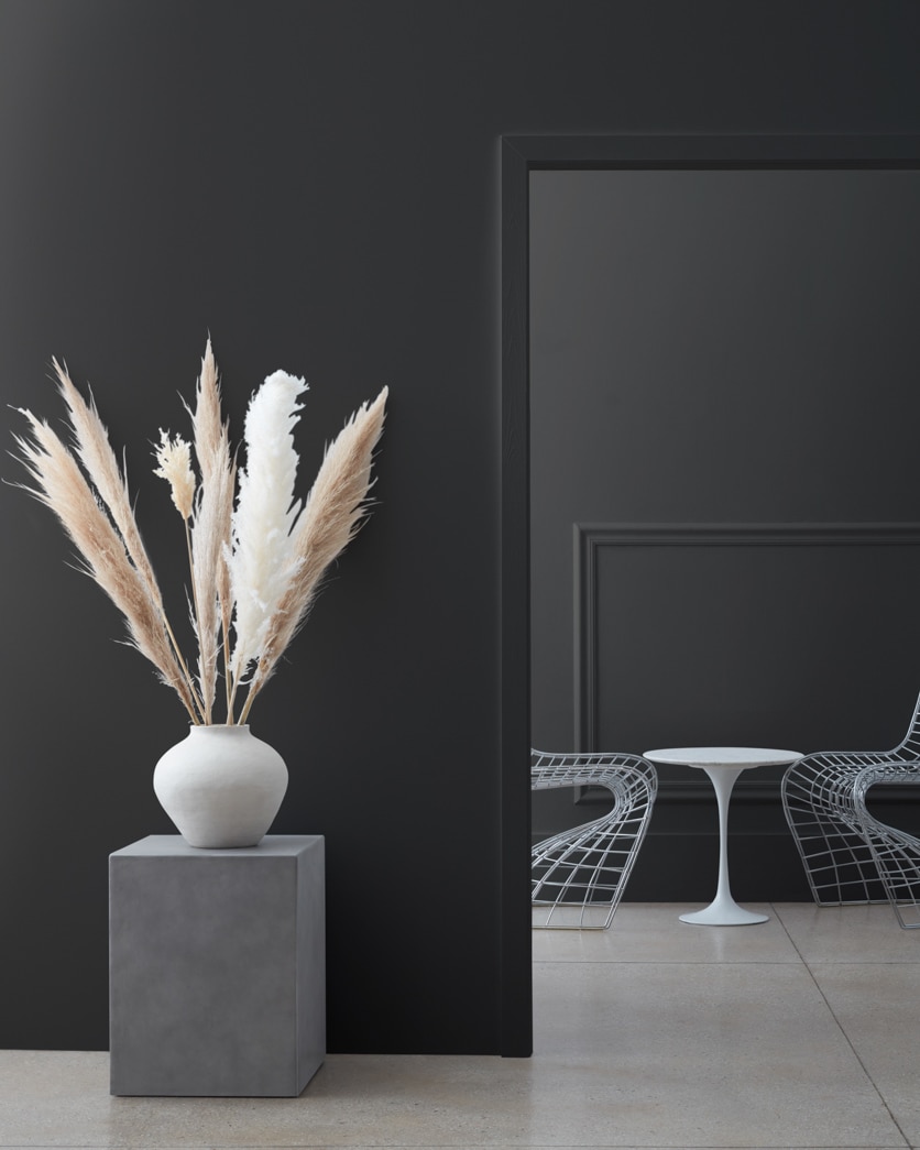 Painted wall in Black Tar 2126-10