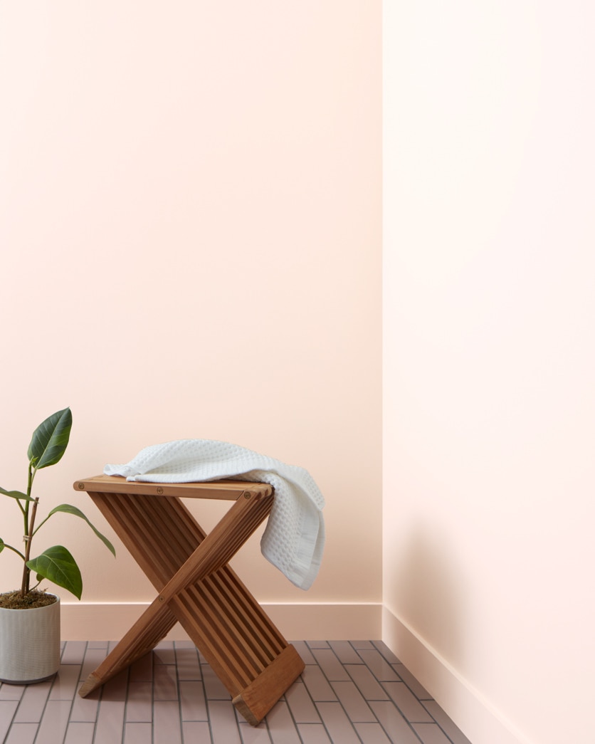 Painted wall in Blanched Coral 886