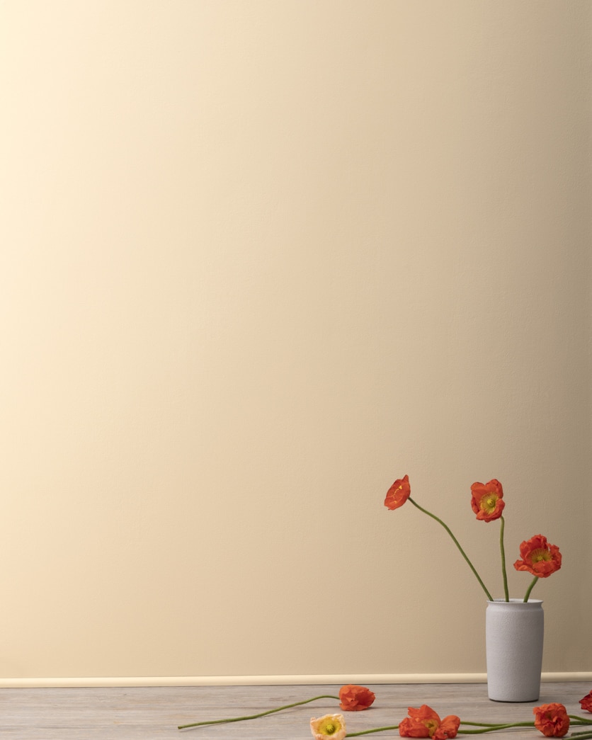 Painted wall in Blond Wood 1067
