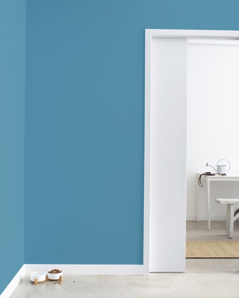 Painted wall in Blue Daisy 2062-40