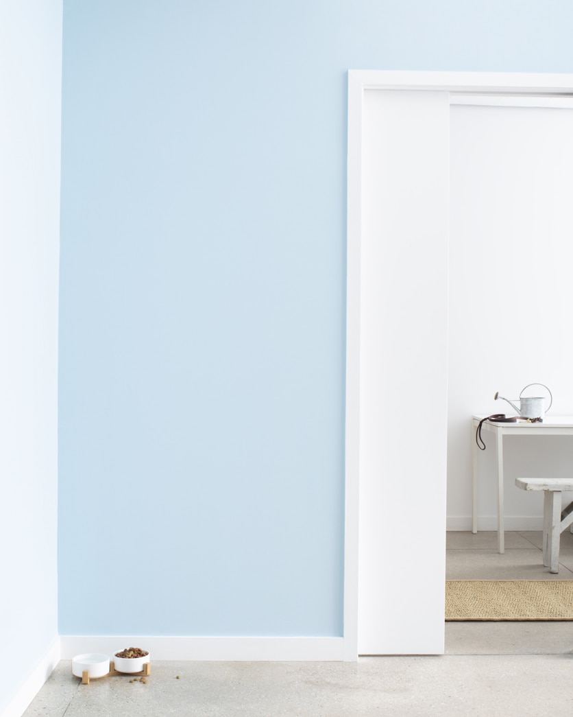 Painted wall in Blue Hydrangea 2062-60
