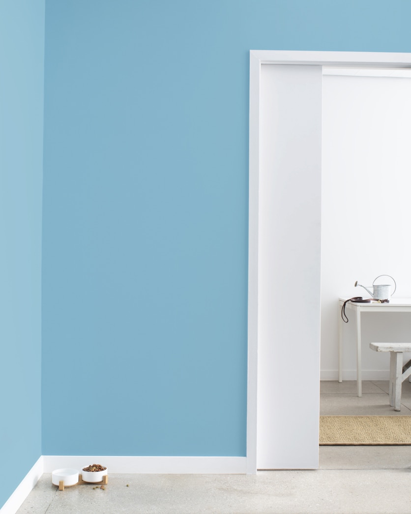 Painted wall in Blue Jean 2062-50