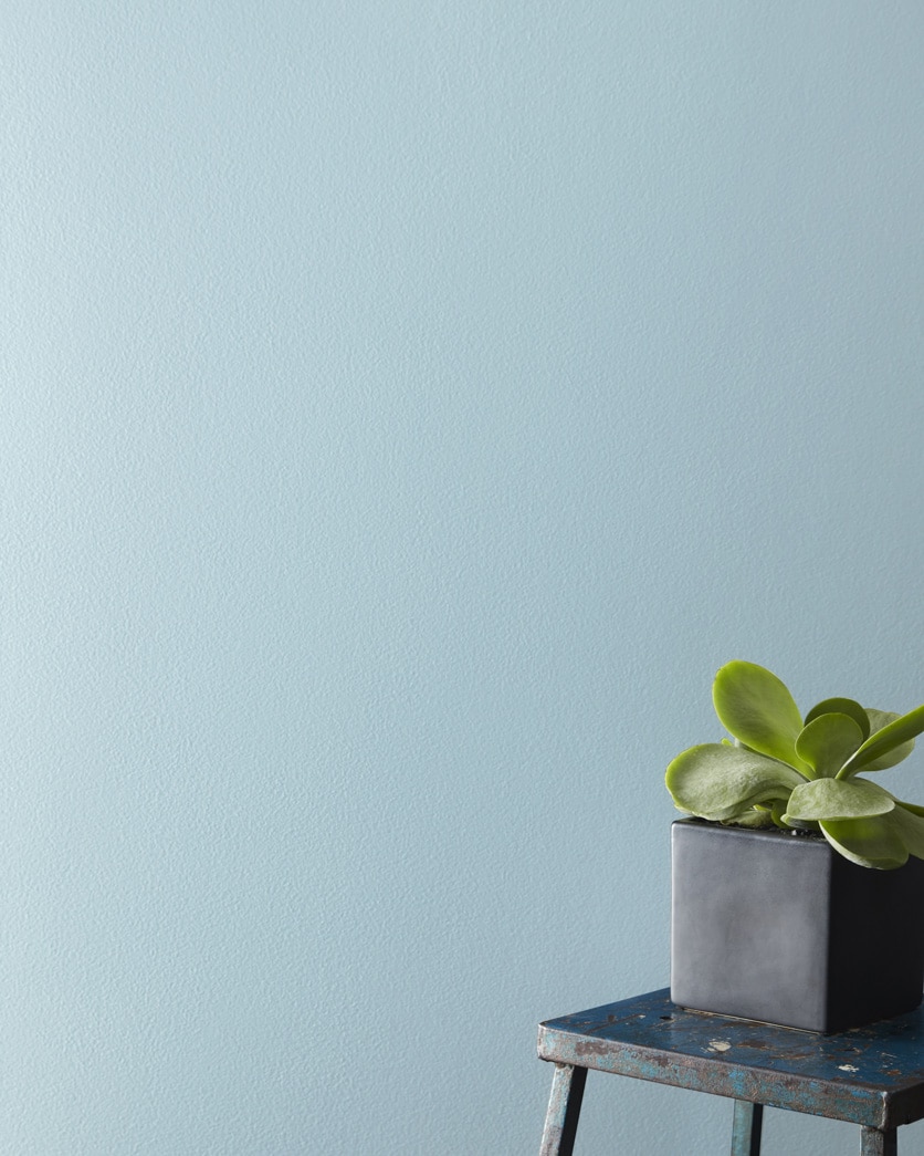 Painted wall in Blue Stream 1668