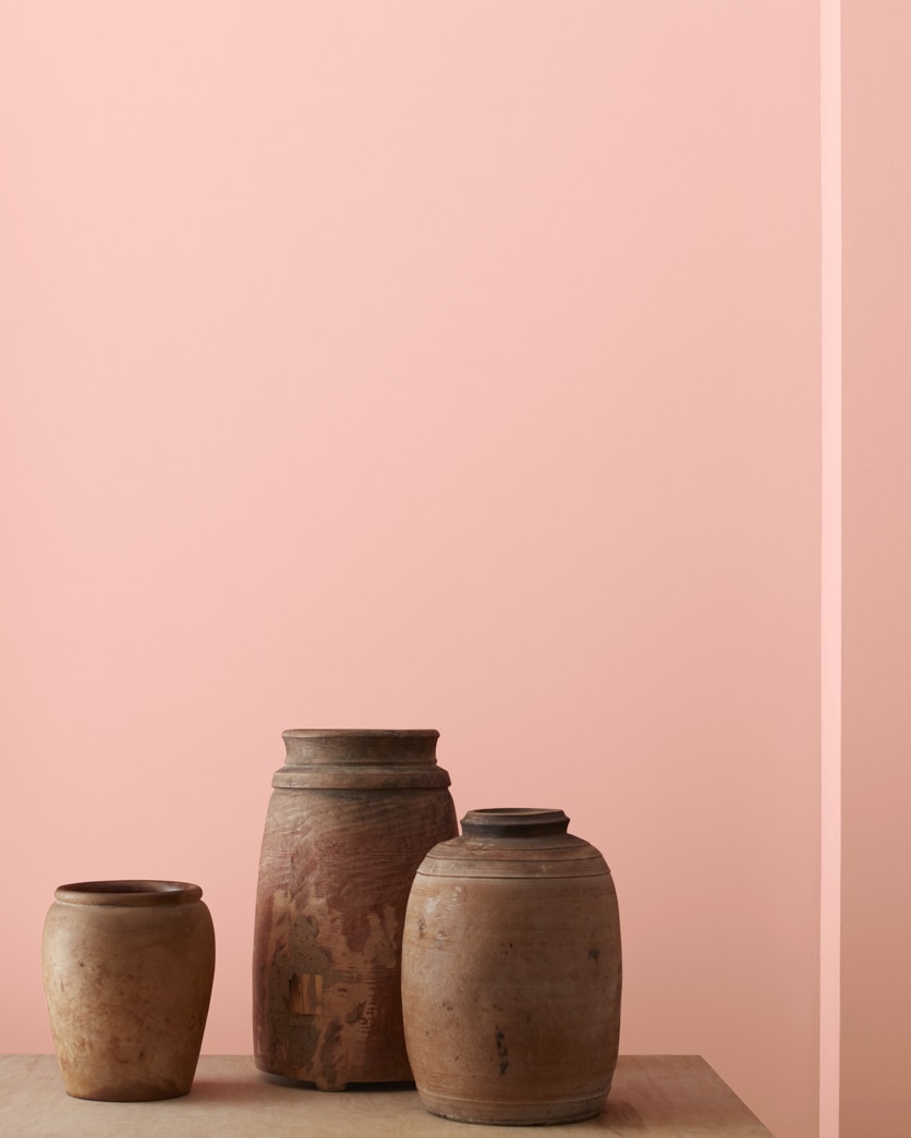 Painted wall in Blushing Brilliance 009
