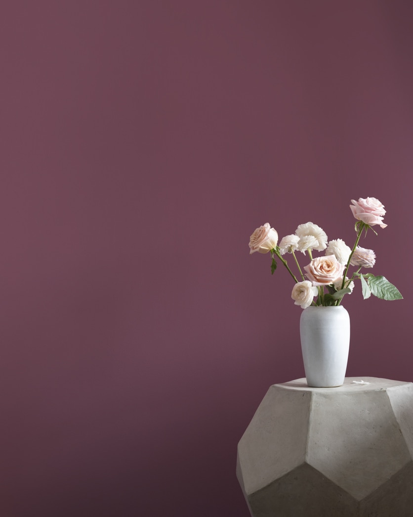 Painted wall in Bordeaux Red 1365