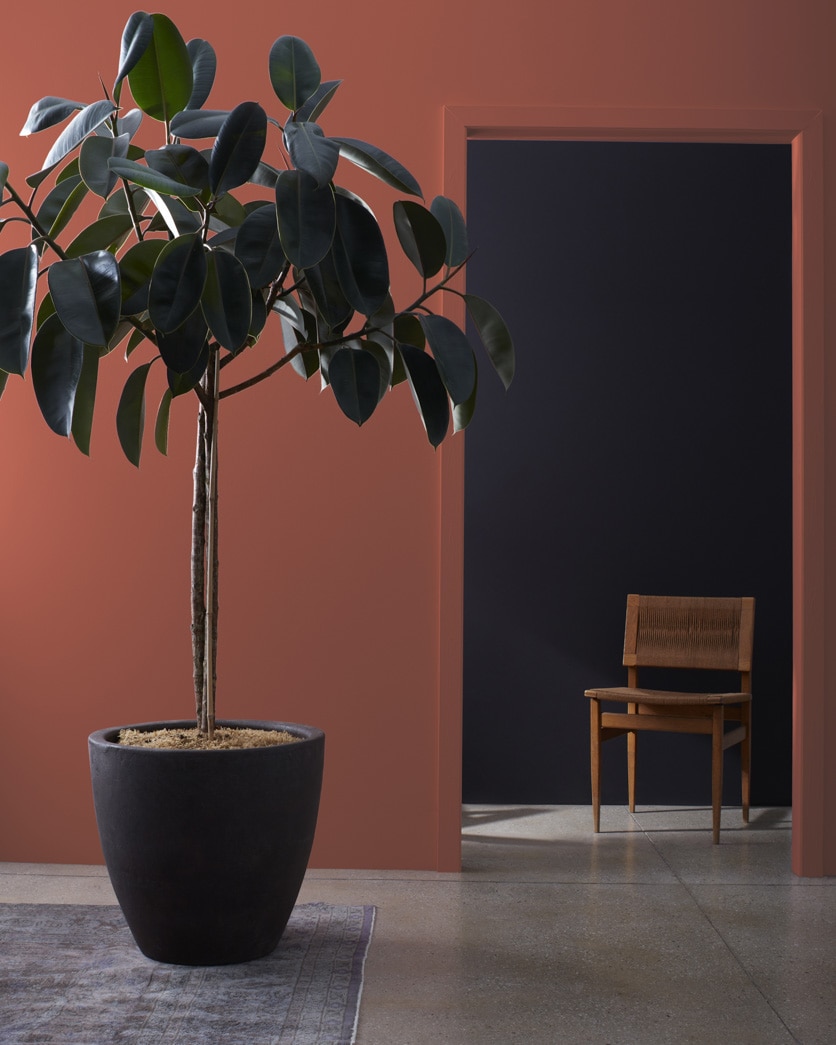 Painted wall in Boston Brick 2092-30