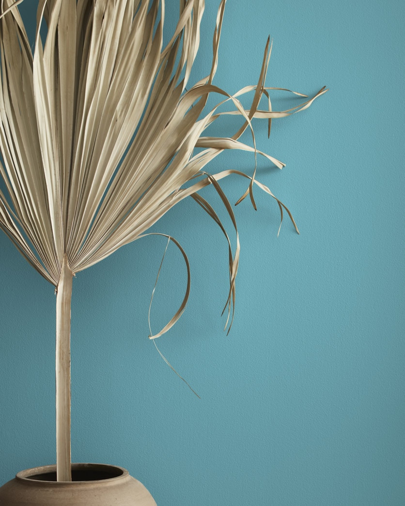 Painted wall in Bracken Blue CW-600