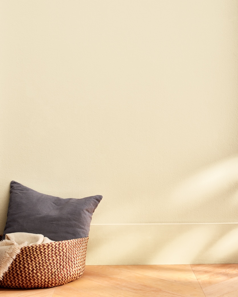 Painted wall in Bracken Cream CW-105