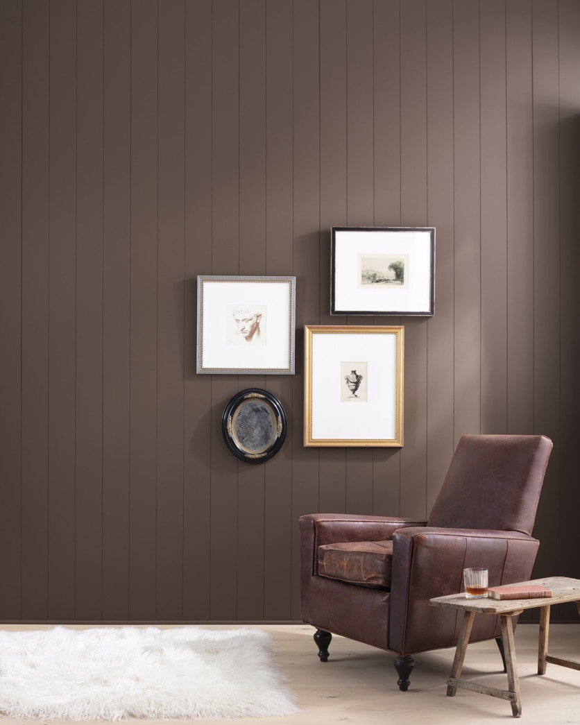 Painted wall in Branchport Brown HC-72