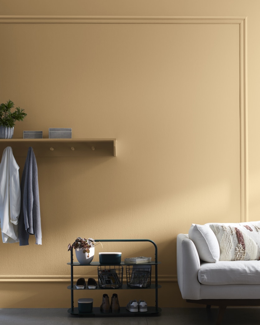 Painted wall in Bridgewater Tan 1096