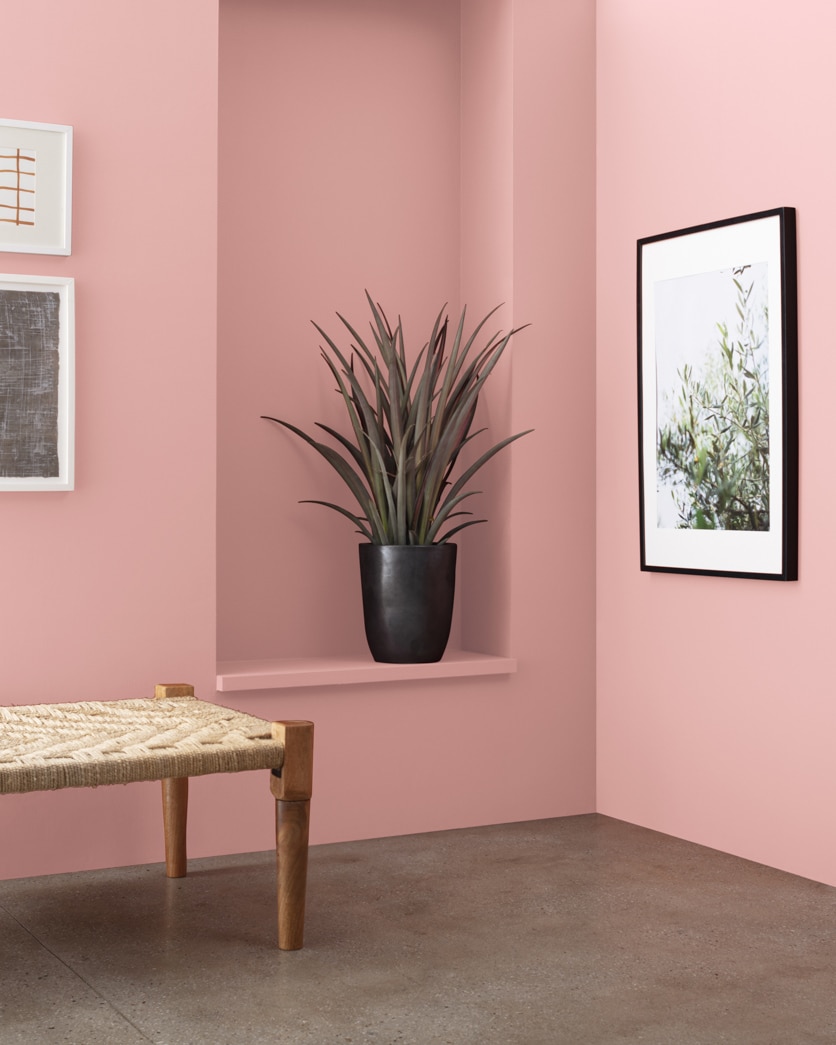 Painted wall in Brighton Rock Candy 1291