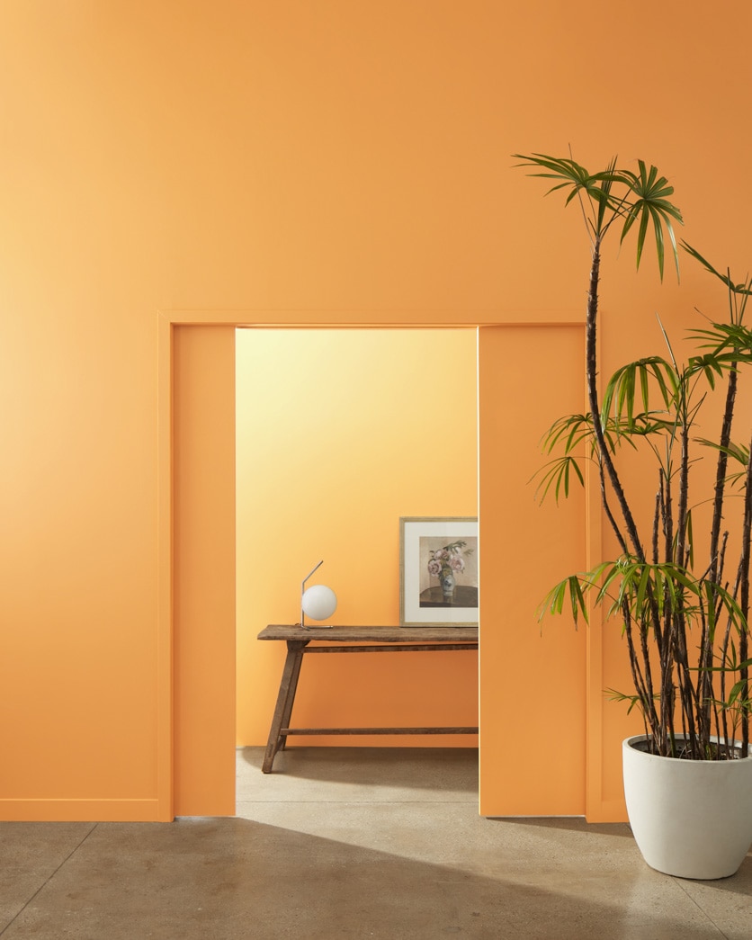 Painted wall in Brilliant Amber 161