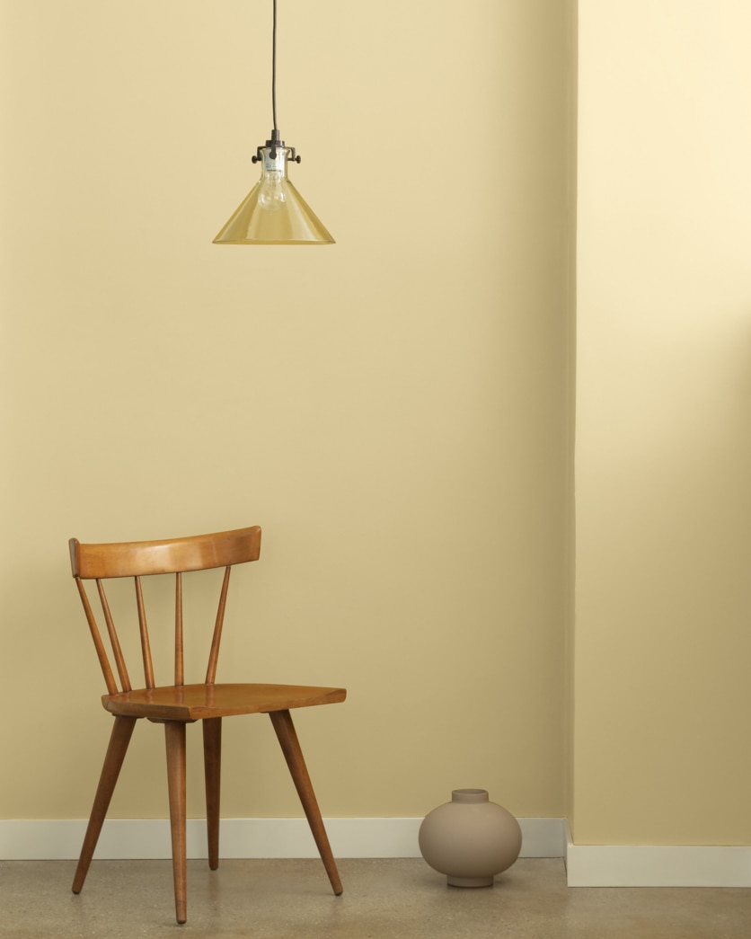 Painted wall in Bronzed Beige 2151-50