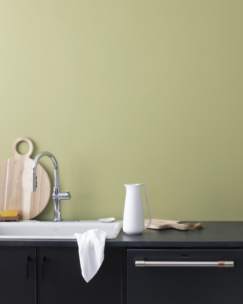 Painted wall in Brookside Moss 2145-30