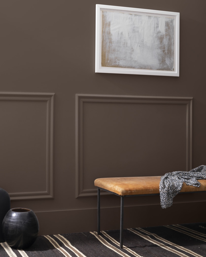 Painted wall in Brown Sugar 2112-20