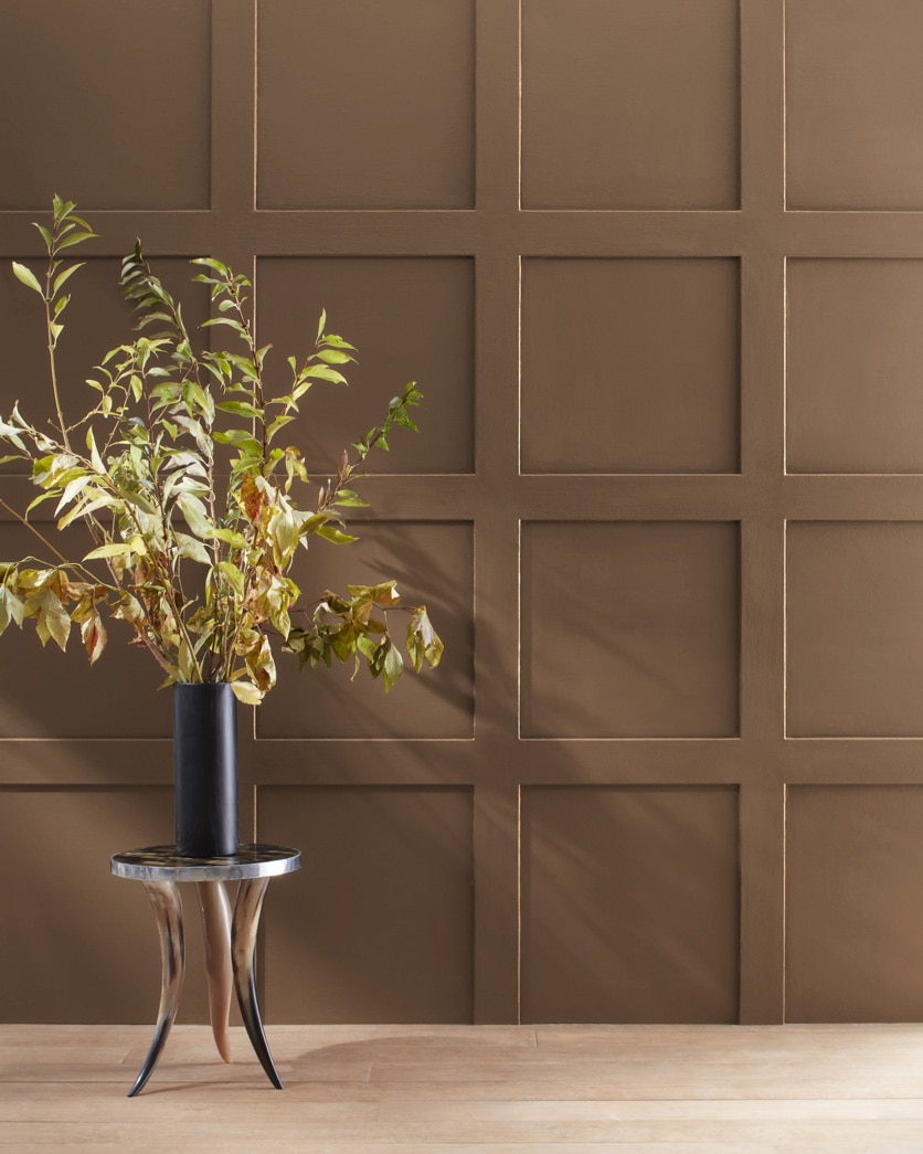 Painted wall in Brown Tar 2110-20