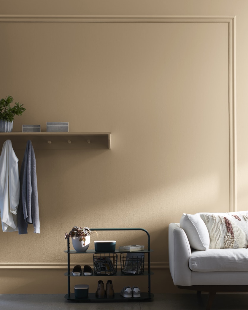 Painted wall in Brush Beige CW-125