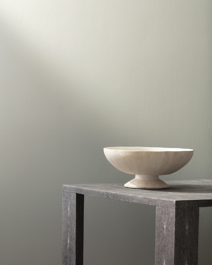 Painted wall in Brushed Aluminum 1485