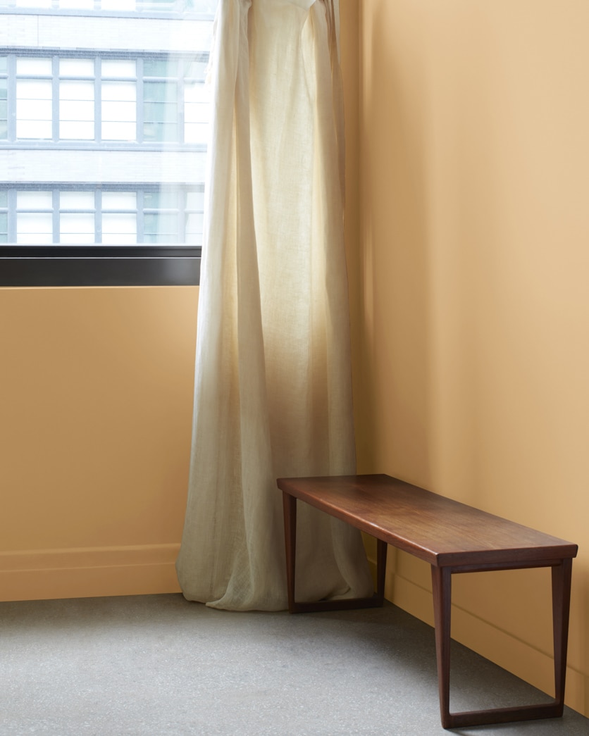 Painted wall in Bryan Ochre CW-390