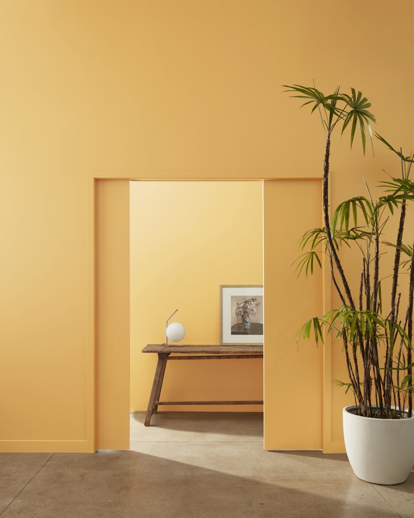 Painted wall in Bryant Gold HC-7