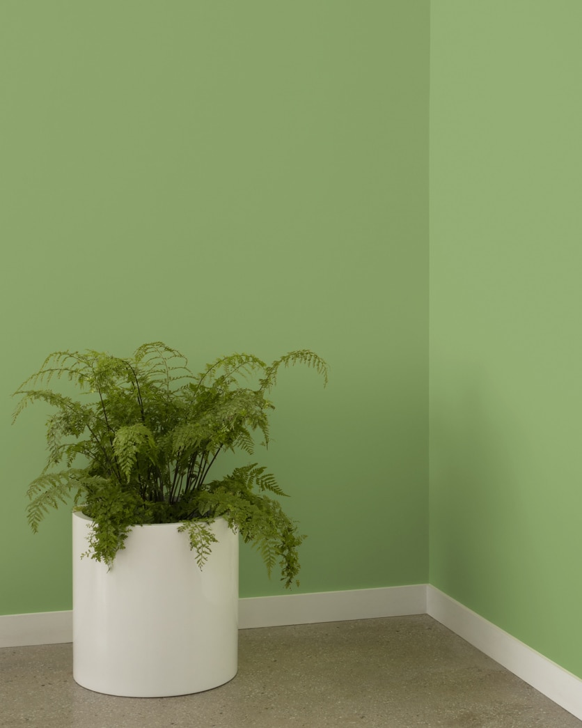 Painted wall in Buckingham Gardens 545