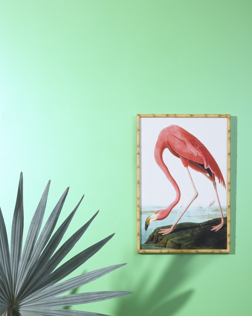 Painted wall in Bud Green 2033-50