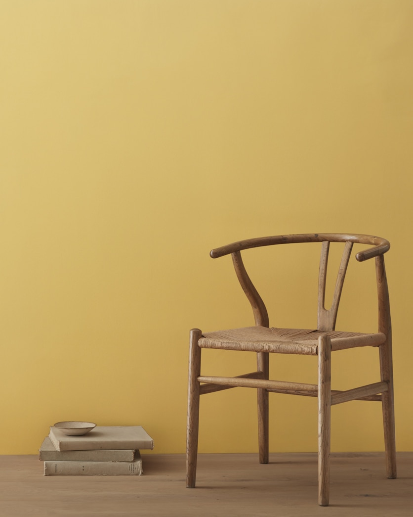 Painted wall in Buena Vista Gold 209