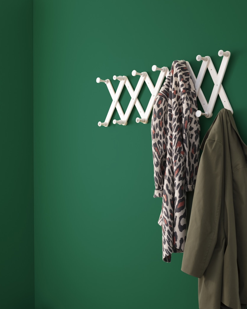 Painted wall in Buffett Green CW-535